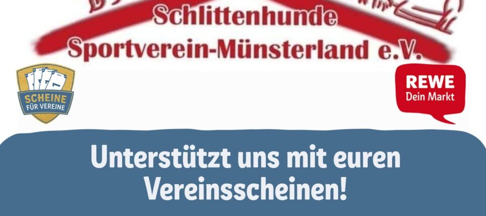 Scheine für Vereine 2025
