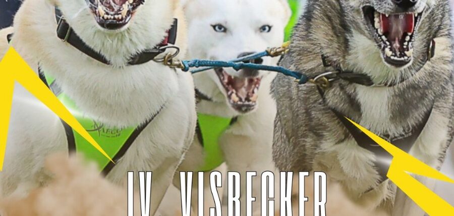 4. Visbecker Schlittenhunderennen